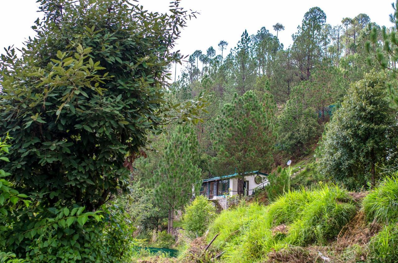 Happy Dervish Homestay 穆克缇斯瓦 外观 照片